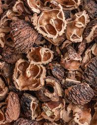 Black Wallnut Hull, Cut